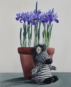 Image inconnue - Unbekannt Unbekannt